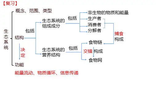 3.2生态系统的能量流动第1课时课件-高二上学期生物人教版选择性必修2