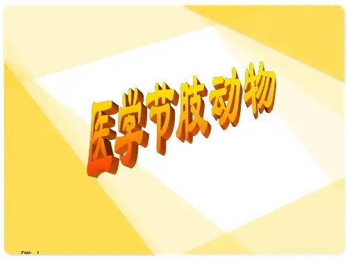 节肢动物  ppt课件