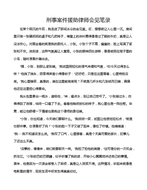 刑事案件援助律师会见笔录