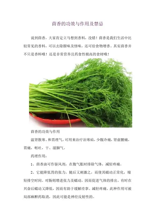 茴香的功效与作用及禁忌