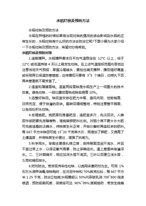 水稻烂秧及预防方法