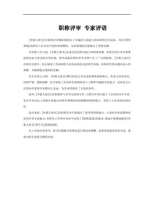 职称评审 专家评语