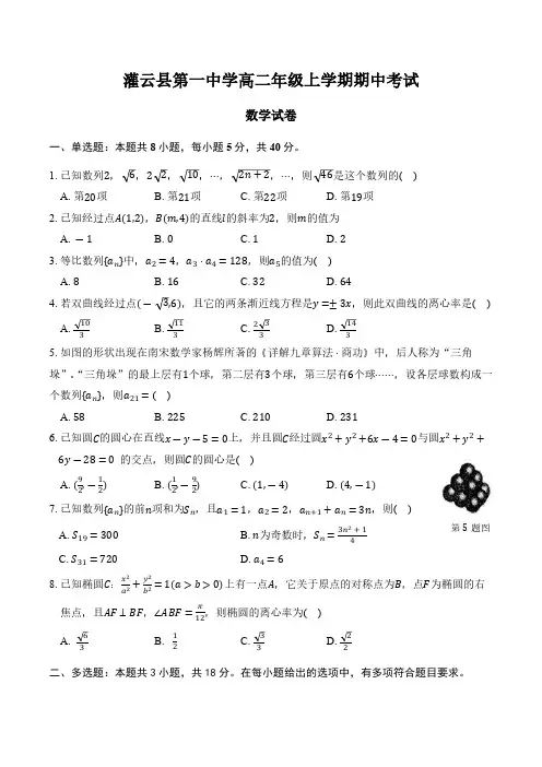 江苏省连云港市灌云县第一中学2024-2025学年高二上学期11月期中考试数学试题(含答案)