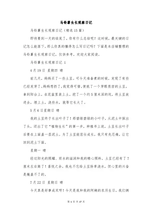 马铃薯生长观察日记