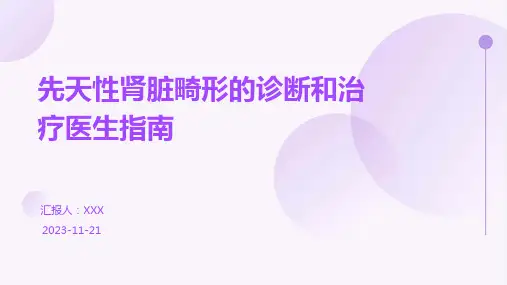 先天性肾脏畸形的诊断和治疗医生指南