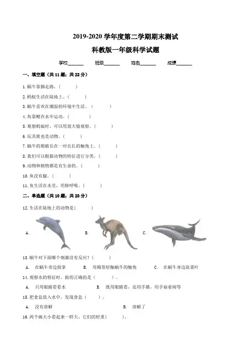2020科教版一年级下册科学《期末检测试卷》含答案解析