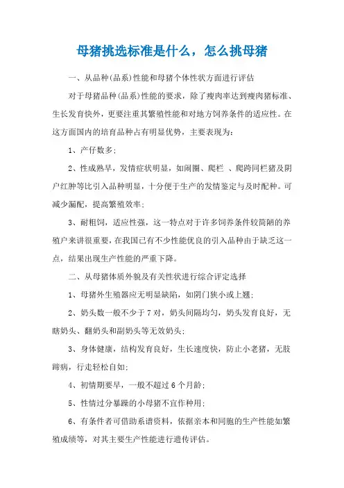 母猪挑选标准是什么,怎么挑母猪