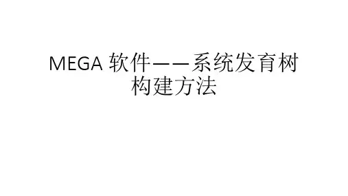 MEGA 软件——系统发育树构建方法