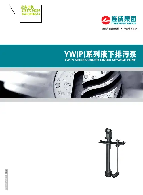 液下排污泵YW