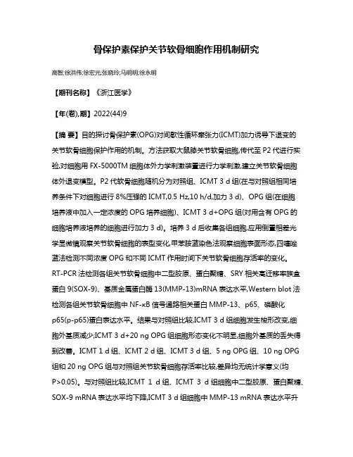 骨保护素保护关节软骨细胞作用机制研究