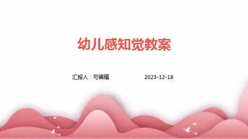 幼儿感知觉教案