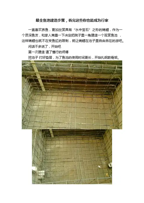 最全鱼池建造步骤，看完这些你也能成为行家