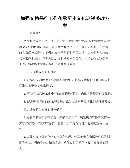 加强文物保护工作传承历史文化巡视整改方案