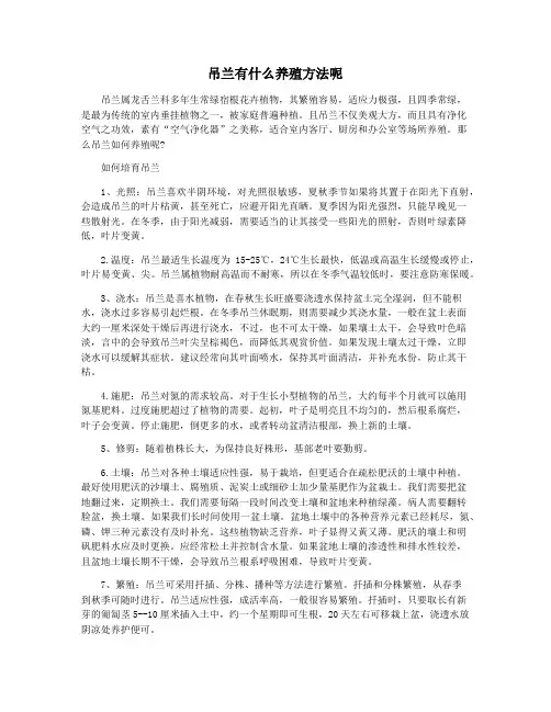 吊兰有什么养殖方法呢