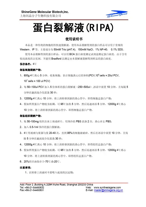 RIPA 蛋白裂解液说明书