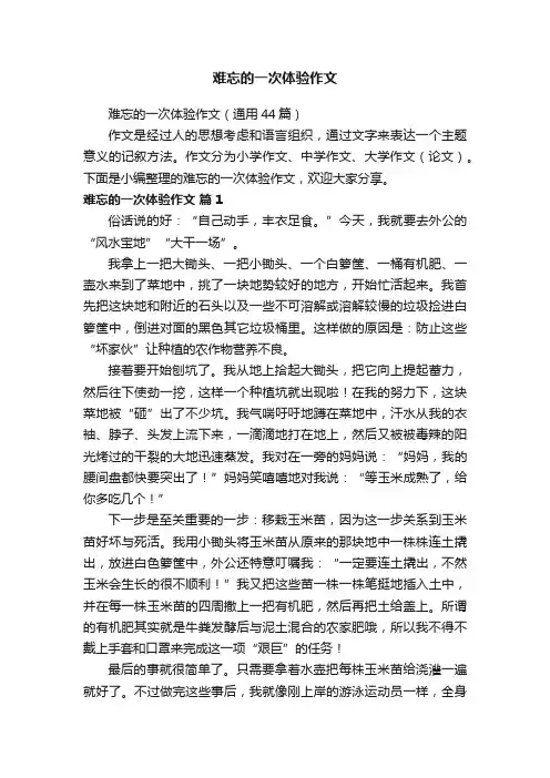 难忘的一次体验作文