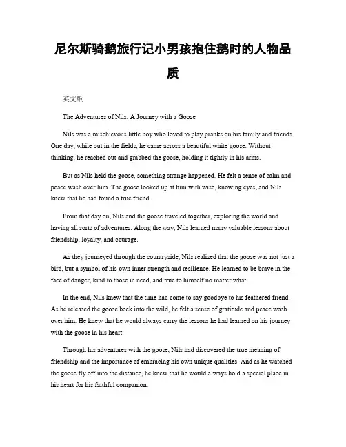 尼尔斯骑鹅旅行记小男孩抱住鹅时的人物品质
