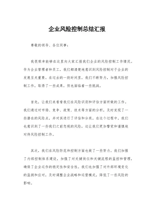 企业风险控制总结汇报