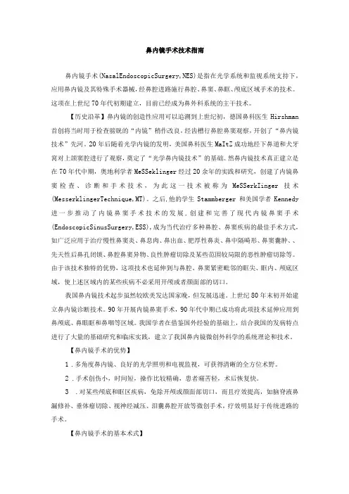 鼻内镜手术技术指南