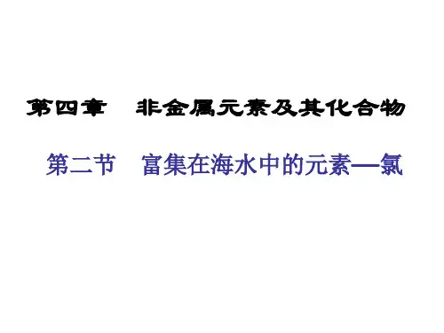 一轮复习氯及其化合物PPT课件