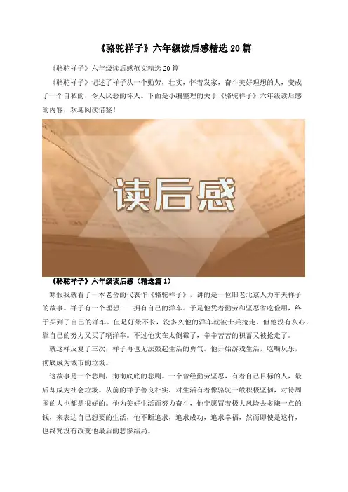 《骆驼祥子》六年级读后感精选20篇