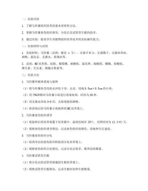 培养马铃薯实验报告