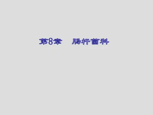 肠杆菌科 课件