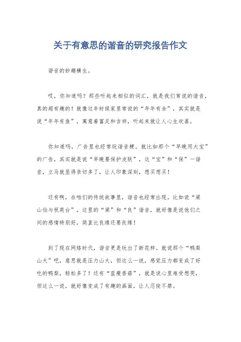 关于有意思的谐音的研究报告作文