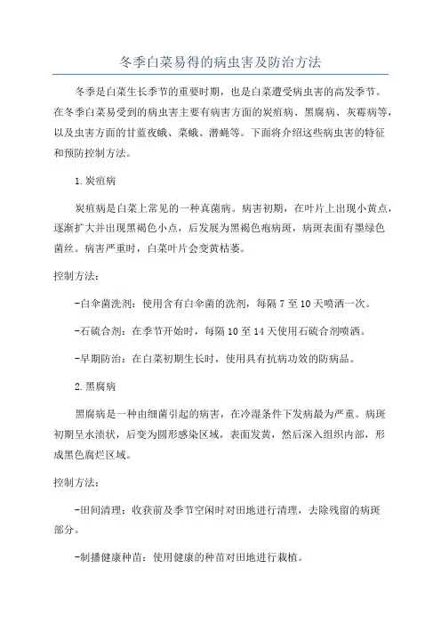 冬季白菜易得的病虫害及防治方法