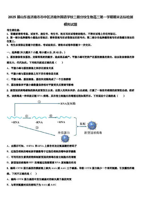 2025届山东省济南市市中区济南外国语学校三箭分校生物高三第一学期期末达标检测模拟试题含解析