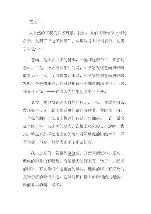 大自然给了我们许多启示