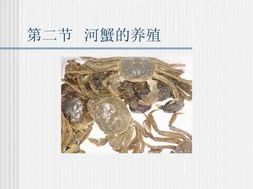 第二节  河蟹的养殖