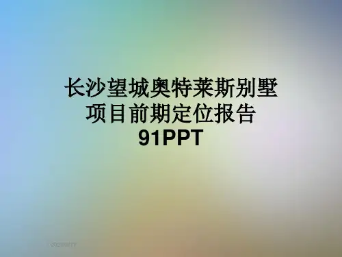 长沙望城奥特莱斯别墅项目前期定位报告91PPT
