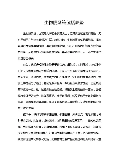 生物膜系统包括哪些