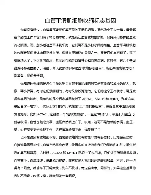 血管平滑肌细胞收缩标志基因