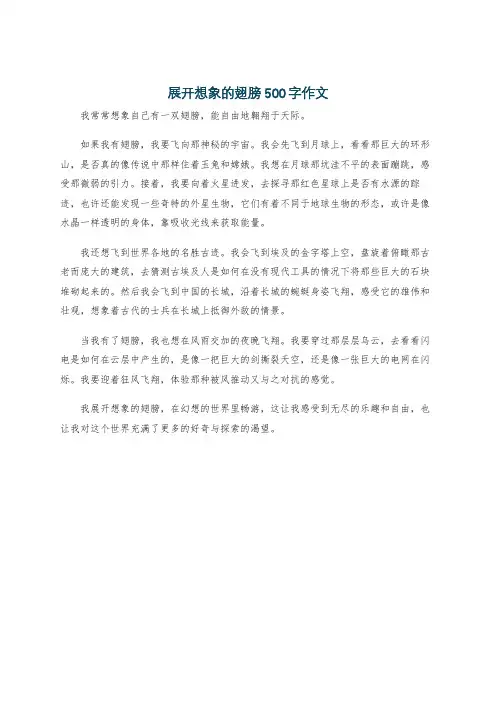 展开想象的翅膀500字作文