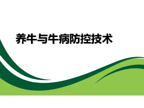 养牛与牛病防控技术教学课件：16繁殖新技术