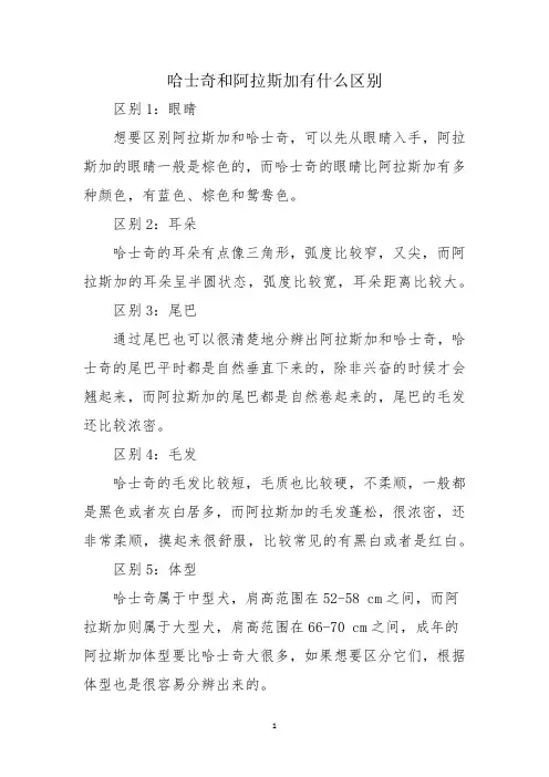 哈士奇和阿拉斯加有什么区别