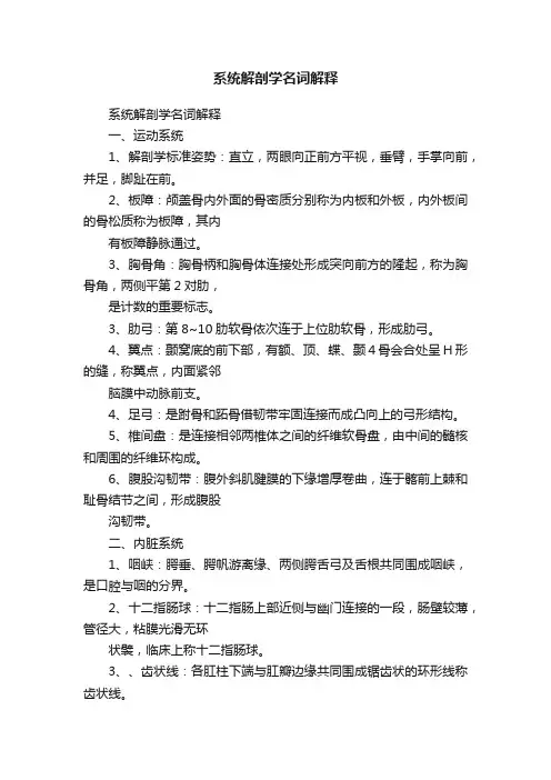 系统解剖学名词解释