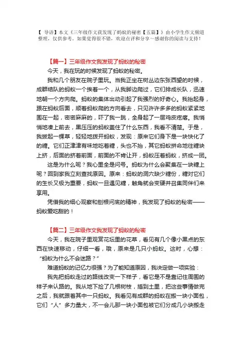 三年级作文我发现了蚂蚁的秘密【五篇】