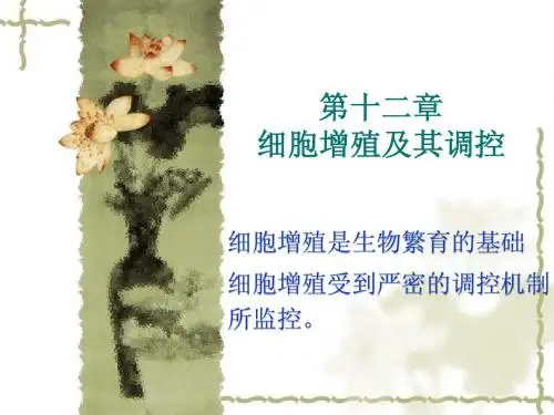 细胞生物学第12章