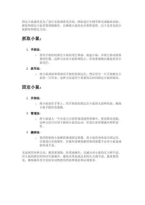 小鼠的抓取与固定方法