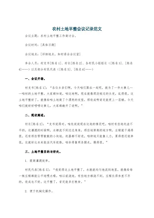 农村土地平整会议记录范文