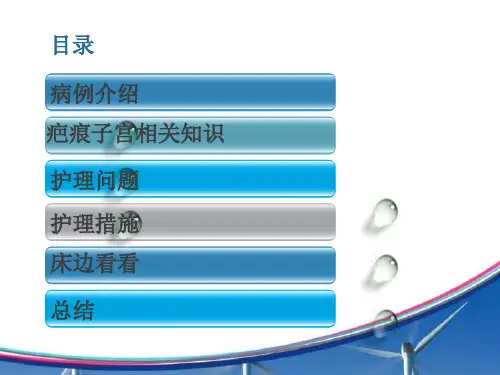 疤痕子宫护理查房ppt课件