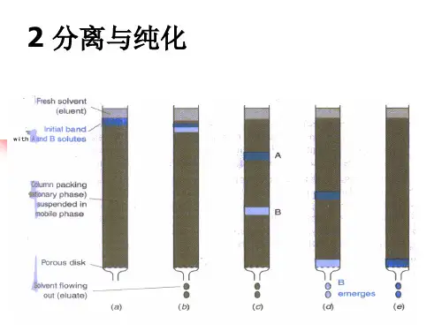 2-现代分析测试技术-分离