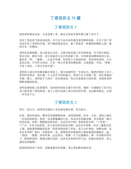 丁香花作文31篇