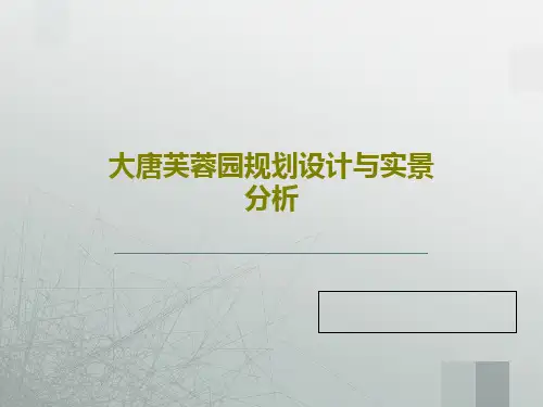 大唐芙蓉园规划设计与实景分析共85页