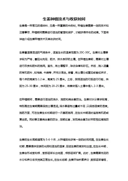 生姜种植技术与收获时间