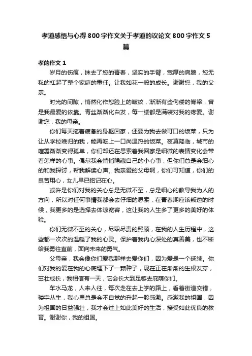 孝道感悟与心得800字作文关于孝道的议论文800字作文5篇