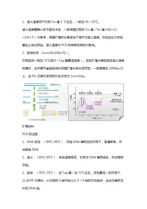 引物退火温度